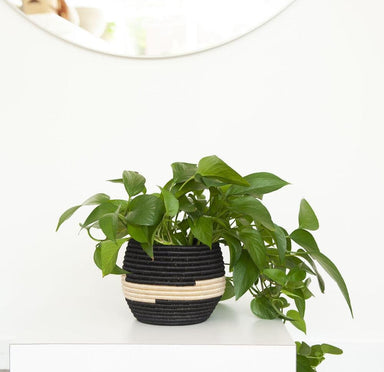 Honey Pot Planter Basket | Black from Amsha - SHOPELEOS