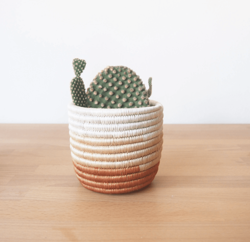 Juru Planter Baskets | Amshacategory_Decor from Amsha - SHOPELEOS