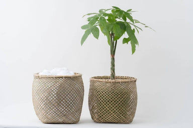 Bamboo Basketcategory_Decor from NEEPA HUT - SHOPELEOS