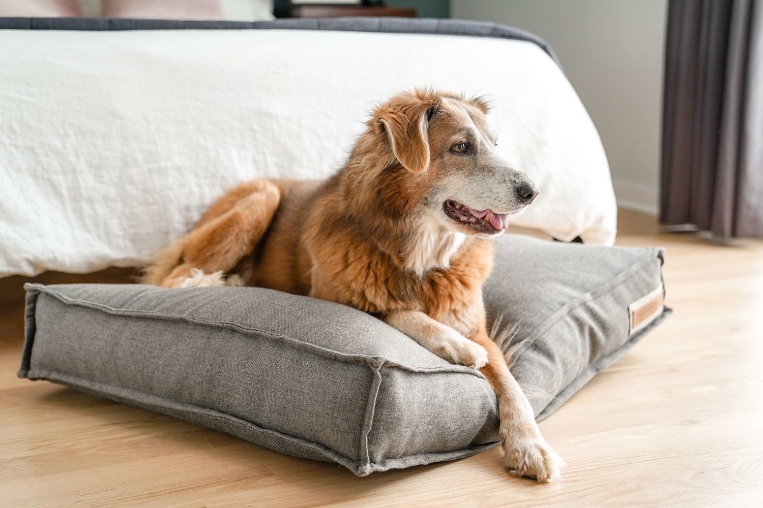Lounger Pet Bed in Stone Shepherdcategory_Decor from The Houndry - SHOPELEOS