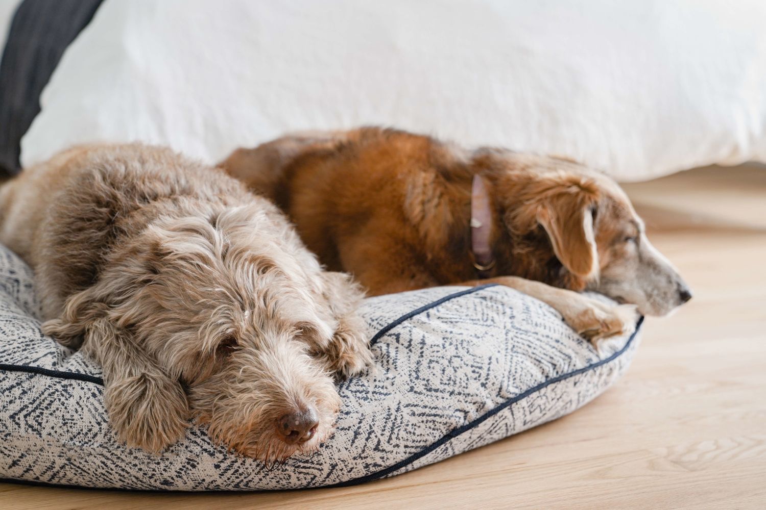 Round Pet Bed in Sapphire Spanielcategory_Decor from The Houndry - SHOPELEOS